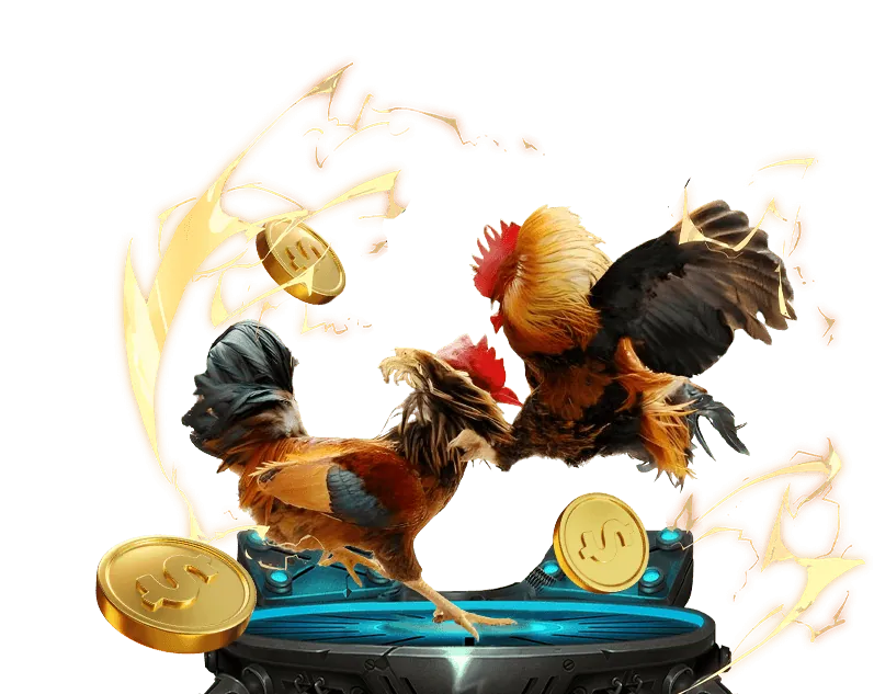 Lịch sử phát triển taib29 bet